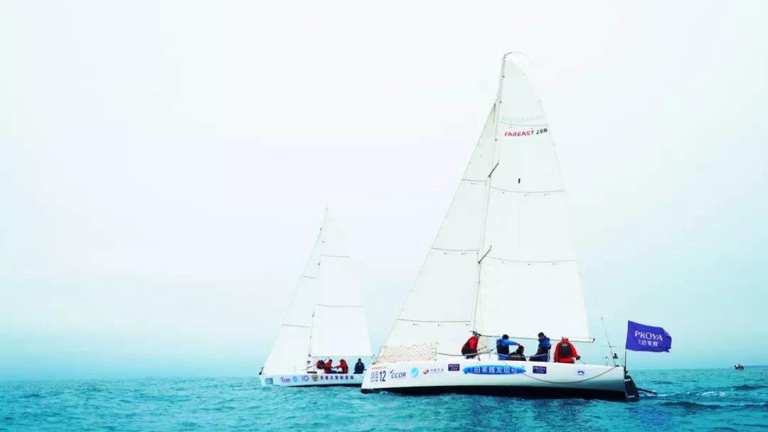 1573113162545245erXw.jpg 1.jpg