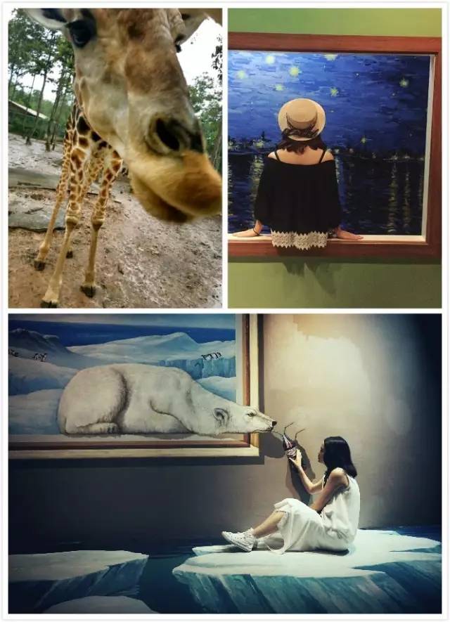 1497423526491366GKkt.jpg 4.jpg