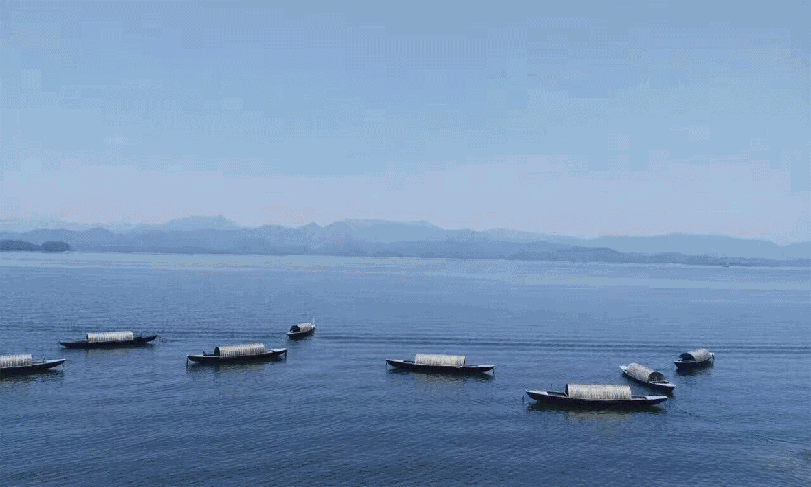 1497423827328336MLzD.gif 19.gif