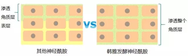 1496720237874788FqEs.jpg 5.webp.jpg