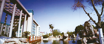 1475045782224636Obbr.png 02.png